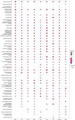 Integrated genomic analysis defines molecular subgroups in dilated cardiomyopathy and identifies novel biomarkers based on machine learning methods